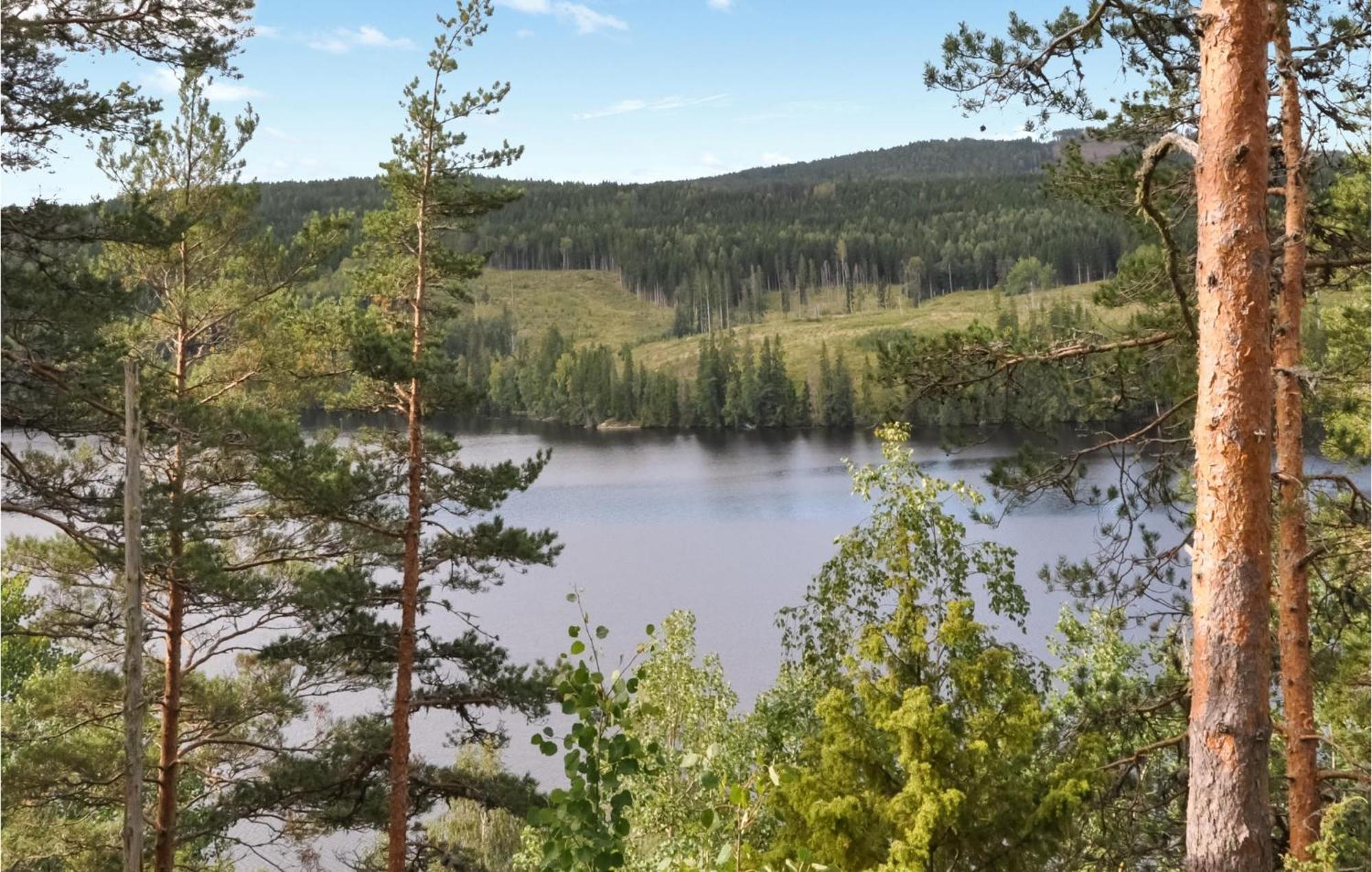 Nice Home In Gunnarskog With Lake View 外观 照片